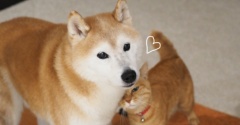 まんざらでもない？