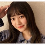 はらぺこコアラの散歩道