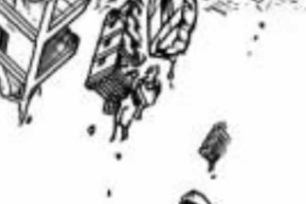 One Piece World 15年08月
