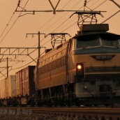 夕方の貨物列車調査　= 予想外の EF66-27 も現る =