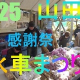 『水車まつり　2025』の画像