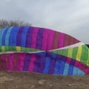 春が来た　2026/2/14（土）