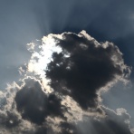 うちのとらまる