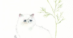 ねこと秋桜