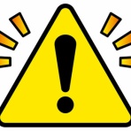 ねことダンボール