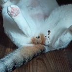 moroのハンドメイド