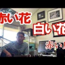 「赤い花　白い花」