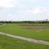 『先週末は残念でした。今週末こそ…』の画像