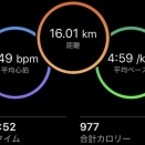 急すぎる真夏の洗礼を浴びる