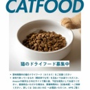 ～みなしご日記　動物たちの紹介編～