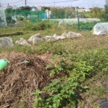 『畑の様子など』の画像