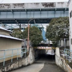 かるかんタイムズ