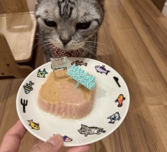 ぱずたん、15歳になりました。