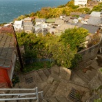 （ ﾟ毒ﾟ）< しんどい。