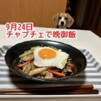 ガオだらけな日々　