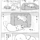 うちの犬のルカ。【１０５】