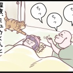ネコ飼いの飼いネコまんが ねこボイ
