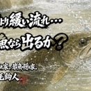 【フライフィッシング】見た目より緩い流れ・・・山女魚なら出るか？