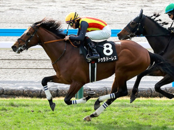 【競馬予想】[1]第62回金鯱賞(GⅡ) /2026