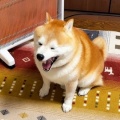 2026年7月末株式試算額