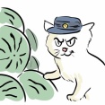 今日はブログお休みします
