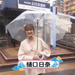 乃木坂46のテレビとラジオ