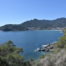 今週もカメラの試し撮り♪