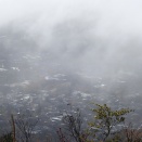 辰之介の日々 幻想的な大涌谷を望む（家に来て4750日目）