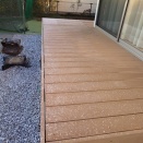 年始年末に起こった悲劇完結