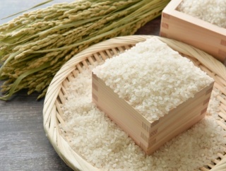 県内最大級！石川県の農林漁業を美味しく・楽しく・学ぶ！『石川県産業展示館 4号館』で『第46回 石川の農林漁業まつり』開催。11月1日、2日。