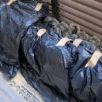 晴れ 時々 マーケティング