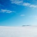 初雪