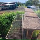 ニャンズの侵略防止対策