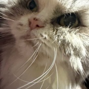 全員そろってのカメラ目線写真を撮りたい！