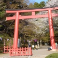 コロナ禍の初詣について：神社本庁は「初詣は近くの氏神様で！」との声明を出すべき