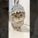 ２０２５年１２月３０日　日記