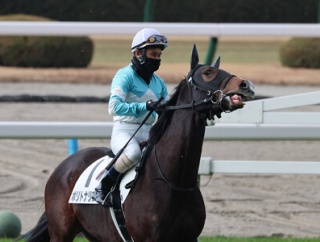 The 28th Nakayama Grand Jump（J･GⅠ）