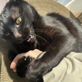 噛まれて噛まれて噛まれまくる