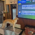 雨の日のイタズラ。