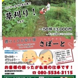 『秋のチラシ』の画像