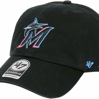 野球の記録で話したい