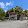 有田川ダム上　解禁直前情報