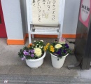 【悲報】研究者「実験の結果『酔った勢いで』なんてものは存在しない。クズは元からクズなだけ」