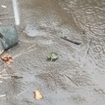 みーちゃんＨＯＵＳＥ