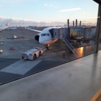 あいまいだいありー