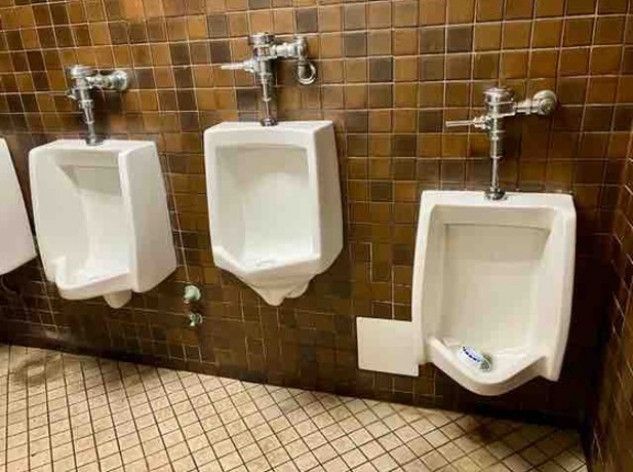 アメリカのトイレに驚く