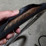 oryzasativa　自転車ウロウロ記