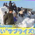 【ﾌｧﾝｻﾏﾘｨ】小6に卒業前のサプライズ、届いたのは…10トンの雪　愛知・西尾