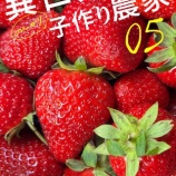 �ءְ������Τ�Ӥ�Һ������5�׼��ʲ���٤β���
