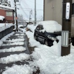 気分吟醸の河は流れて